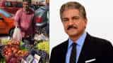 Anand Mahindra pays fruit vendor with e-rupee as RBI digital currency includes small retail merchants for CBDC pilot project