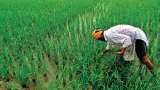 apply for rabi crop procurement on msp in haryana 31 January meri fasal mera byora website