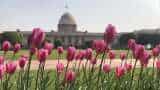Mughal Garden of Rashtrapati Bhavan renamed as Amrit Udyan doors will open for general public on January 31