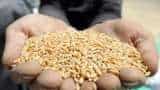 Wheat price may down soon Sale of 25 LMT Wheat starts from February 1 2023 under Open Market Sale Scheme Domestic
