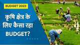 Zee Biz Budget 2023: कृषि क्षेत्र के लिए कैसा रहा Budget? जानिए Mrituenjay Kumar Jha से