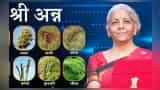 what is shri anna scheme which is mentioned in budget 2023 by finance minister nirmala sitharaman