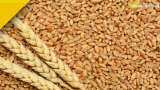 Piyush Goyal says FCI to open more procurement centres also sell more wheat in open market to cool whear prices