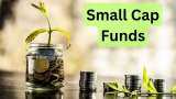 Small Cap Funds saw most inflow in equity category Top 5 Small Cap stocks mutual funds bought last month