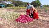 onion price Farmers stop onion auction at Nashik Lasalgaon APMC over drop in onion prices Nashik