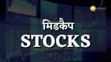 Best Midcap Stocks to invest top SPL Midcap Shares pick from stock experts Nifty Midcap index Triveni turbine, Bharat Dynamics, JBM Auto