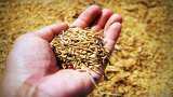 good news for farmers government to launch Seed Traceability System for good quality seeds