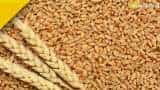 wheat prices fci sells 11-88 lakh mt wheat on 5th wheat e auction in open market