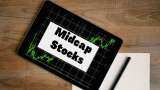 Midcap Stocks best midcap shares to buy Nifty midcap top stocks of the day bharat dynamic Zensar Tech SJVN