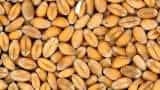 Atta Price Wheat price latest news wheat gets cheaper upto 12 rs flour price in india chakki atta price