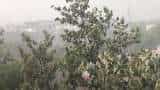 Delhi Weather Update Today heavy rain and hailstorm in delhi noida