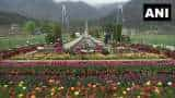 Asia Largest Tulip Garden In Kashmir Photos Opened For Tourists More Than One Million Flowers Fascinate know details