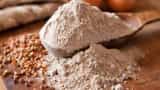 Chaitra Navratri 2023 food why kuttu is consumed in navratri fast how is buckwheat flour made its benefits kuttu ka atta kaise banta hai