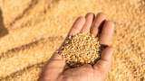 FCI Stops Wheat Auction Under OMSS for Now as Procurement of Fresh Crop Begins Next Month