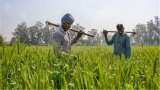 Punjab Bhagwant Mann government give big relief to farmers freezes repayment of loans taken by farmers from cooperatives