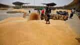 Wheat export ban will continue wheat procurement started in all states FCI chairman says