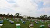 KVIC Distributes Margin Money Grants and Bee Boxes in Kaithal Haryana