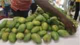 GI Tag Madhya Pradesh Morena gajak rewa sundarja mango get GI Tag