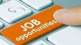 SBI Recruitment 2023 for support officer channel manager supervisor apply on sbi co in au