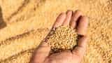 big relief to farmers Centre relaxes wheat procurement norms in Punjab Haryana Chandigarh and Rajasthan