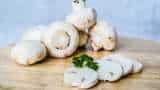 mushroom farming bihar farmers to get 50 percent subsidy on mushroom ki kheti check details