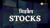 Midcap Stocks to buy Raymond Gujarat Ambuja Exports Limited Sudarshan Chemical Industries Ltd Tamil Nadu Newsprint Poonawalla fincorp RITES Ltd 