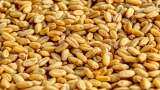 Wheat procurement up 12 percent at 111 lakh tonne so far