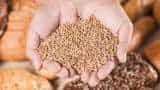 Wheat Procurement Wheat Arrivals In Punjab Cross 1 crore Tonne