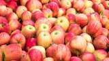 good news for apple farmers India bans import of apples costing below 50 rupees