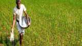 cm shivraj cabinet meeting decision waive interest on loans of farmers up to rs 2 lakh