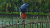 Monsoon 2023 onset over Kerala to be delayed says IMD, forecast below-normal monsoon rains this year check latest update