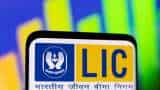 LIC Share price after 1 year of listing market experts view on PSU stock for good return check details
