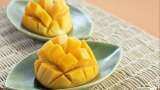 World most expensive Mango two young farmers grow Miyazaki Mango in cyber crime jamtara 1 kg price rs 270000