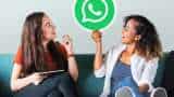 WhatsApp Companion Mode now iphone users can link whatsapp into four devices to one account here how to use