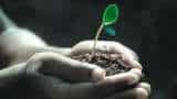 World Environment Day 2023 Today know its importance history and themes of this day