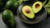 Avocado farming Good news for farmers avocado foreign fruit is sold for Rs 550 a kg now it will be cultivated in Bihar