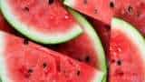 Government details procedure for watermelon seeds imports