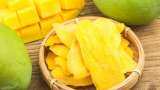 mango festival organized in bihar sarkar get 10000 rupess prize money know application process