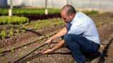 know what is drip irrigation and how a farmer can save a lot of money and time by spending a little more