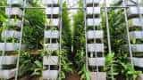 know what is vertical farming how it can increase farmers yield up to 100 times