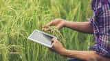 Career option in agriculture sector, know how you can earn a lot of money by this in coming days