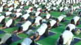 International Yoga Day 2023 theme of 9th yoga day special preparations by Ministry of Ayush history and all important information know here in single click
