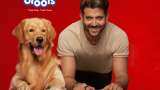 Pet Food company drools raises rs. 500 crore funding from L Catterton