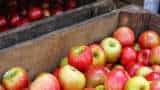 20 percent retaliatory duty removal on American apple imports to have zero impact on Indian farmers