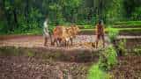 government schemes bihar government to provide subsidy of rs 6500 to farmers for organic famring jaivik kheti