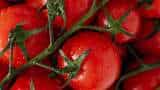 Tomato Price Hike Tomato prices soar across country due to dip in supply cost Rs 80-100 per kg check market price