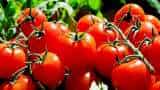 Spike in tomato prices temporary phenomenon prices will cool down soon Govt official