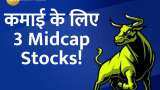 BLS International Hindware Home Syrma SGS Midcap stocks to buy expert bullish on check share target stoploss   