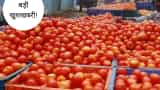 tomato price cut soon within 5 to 6 days 100 rs tomato price nowadays consumer affair minister says statement