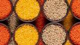Pulses price to come down from tomorrow big decision prices will start decreasing from tomorrow